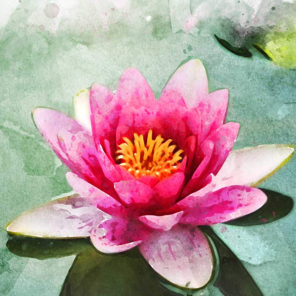 Jewel in the Lotus - Om Mani Padme